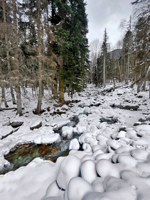Snow Covered Rocks on the River