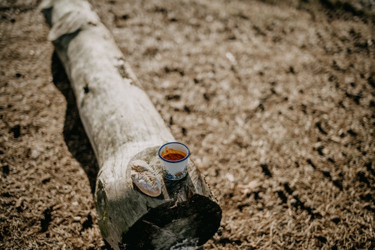 A Cup Of Coffee On The Wooden Log