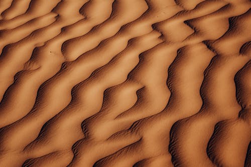 Photos gratuites de désert, dunes, nature