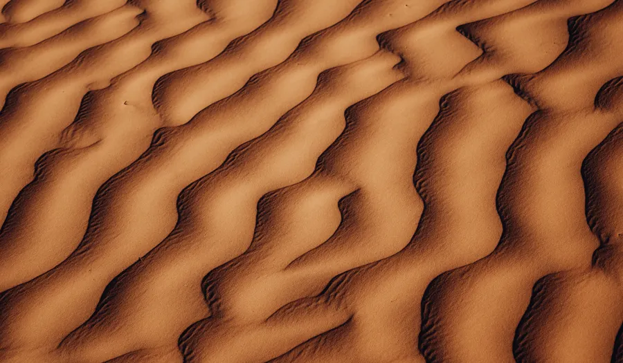 Sahara, Tozeur et Douz
