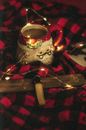 White Skull Candle Holder on Red Textile