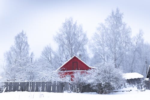 Kostnadsfri bild av lövfria träd, rött hus, säsong