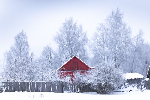 Free A vibrant red house surrounded by snow-covered leafless trees and a wooden fence on a winter day. Stock Photo