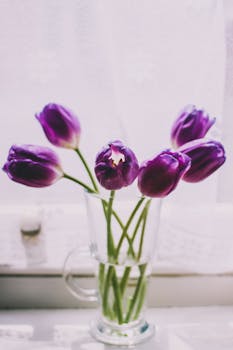 透明玻璃花瓶中插着一束紫色郁金香，在精致的背景衬托下，散发着优雅而清新的气息