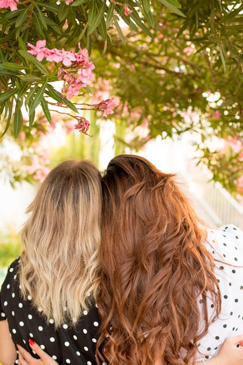 Two Women Leaning Side by Side Under Pink Petaled-flowering Plant