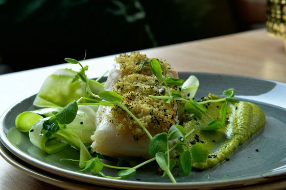 White fish fillet with green herb crumb crust over pea puree, pea shoots and cucumber ribbons
