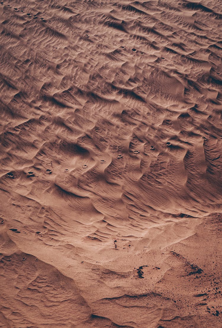 Line Of Footprints Across Sands Of Desert