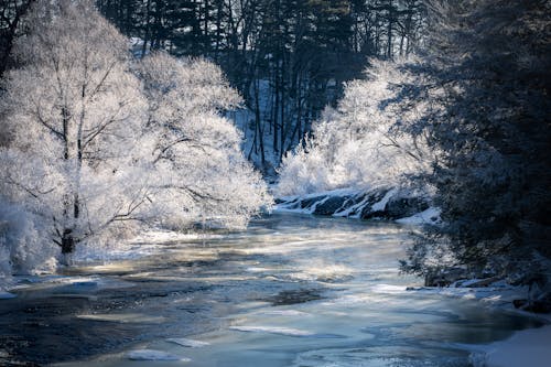 Beautiful Winter Landscape 