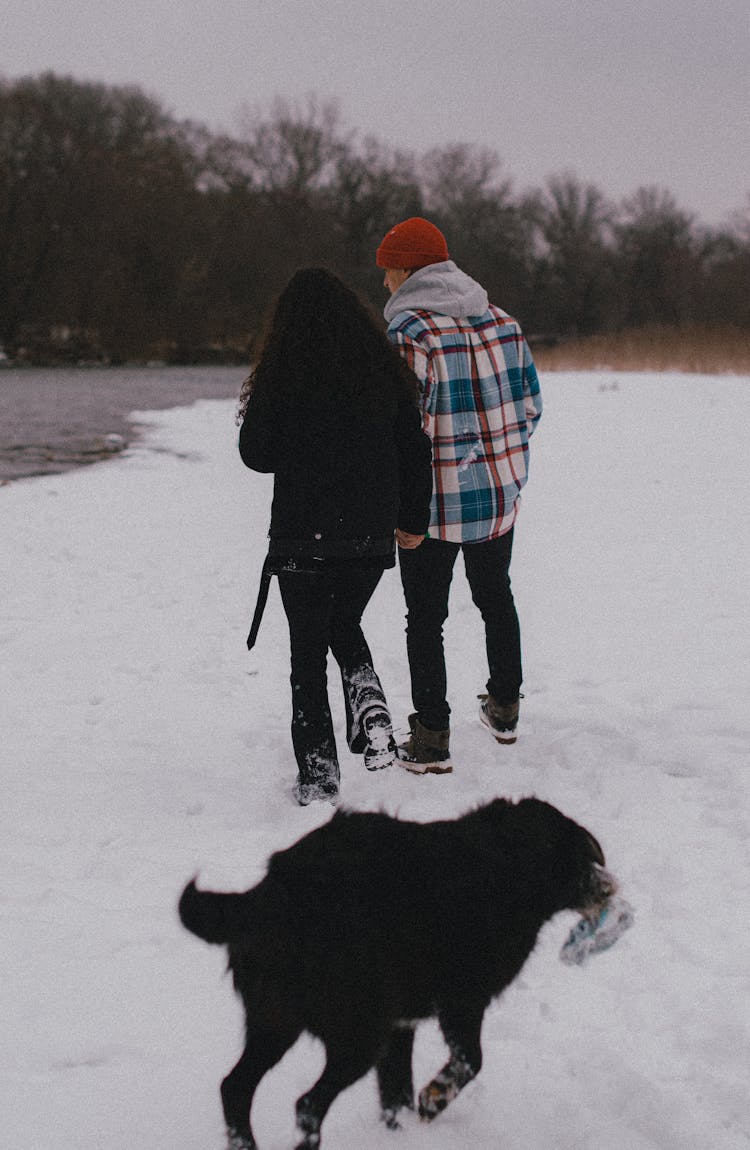 A Black Dog Walking Behind A Couple On Snow-Covered Ground