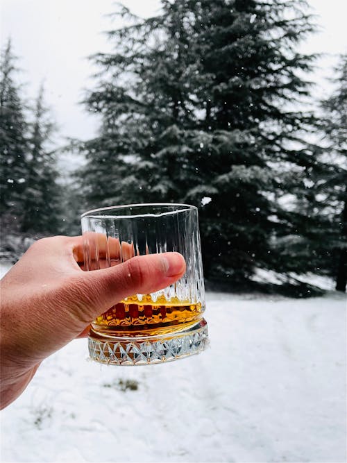 alchohol, 乾杯, 冬季 的 免費圖庫相片