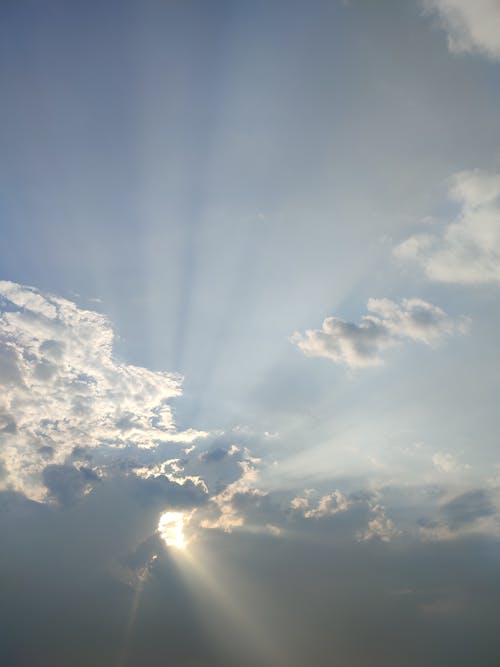 Foto d'estoc gratuïta de cel, fons de pantalla per al mòbil, llum del sol