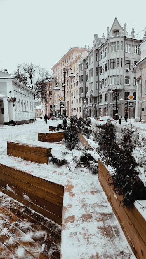 Kostnadsfri bild av bänk, byggnader, snö