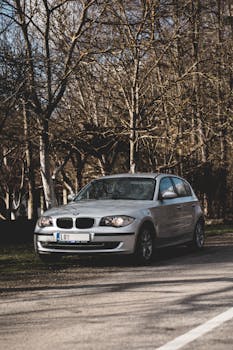 Silver BMW car parked by a bare trees road, offering roadside photography with natural winter scenery.