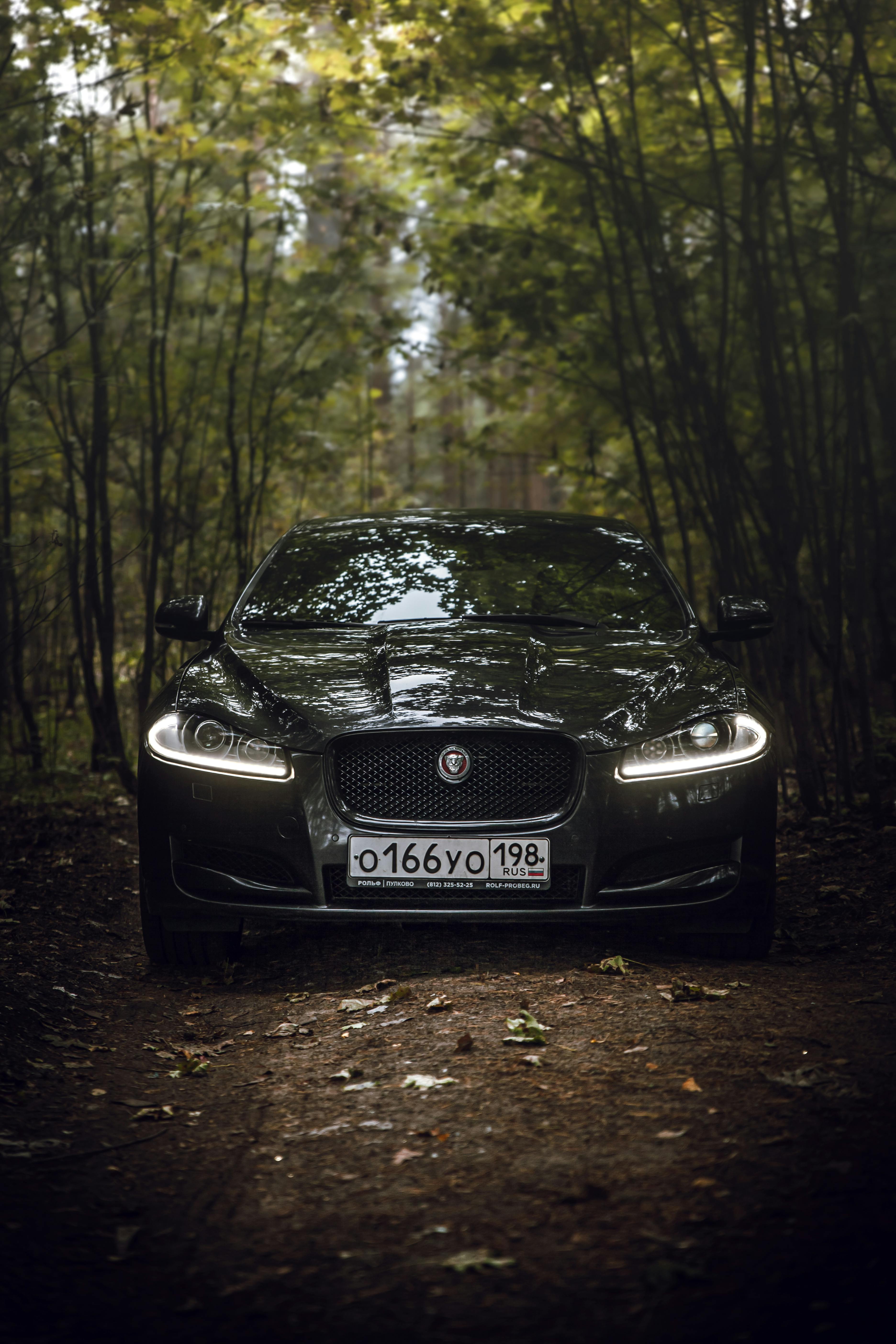 Black car with headlights on surrounded by lush green forest, captured on a dirt path.