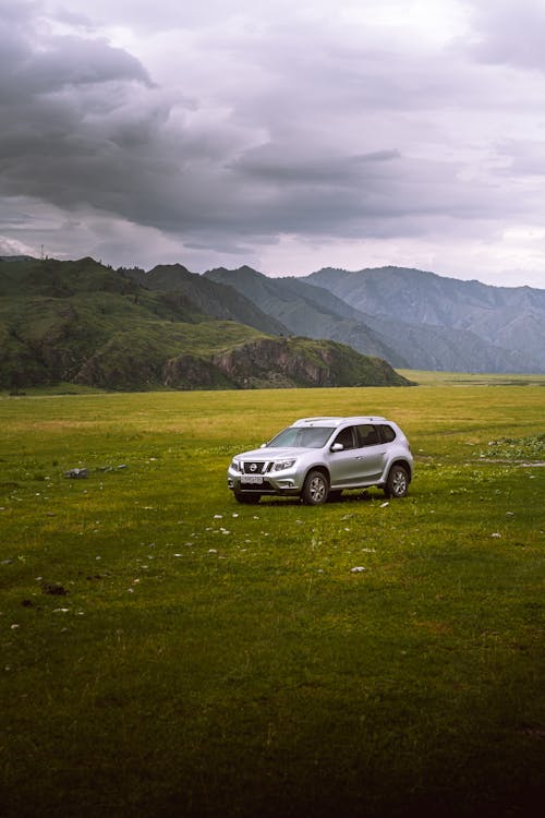 Silver SUV on Green Grass Field 