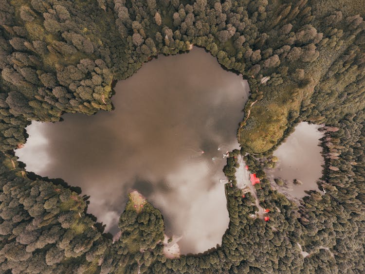 Birds Eye View Of Lakes In Forest