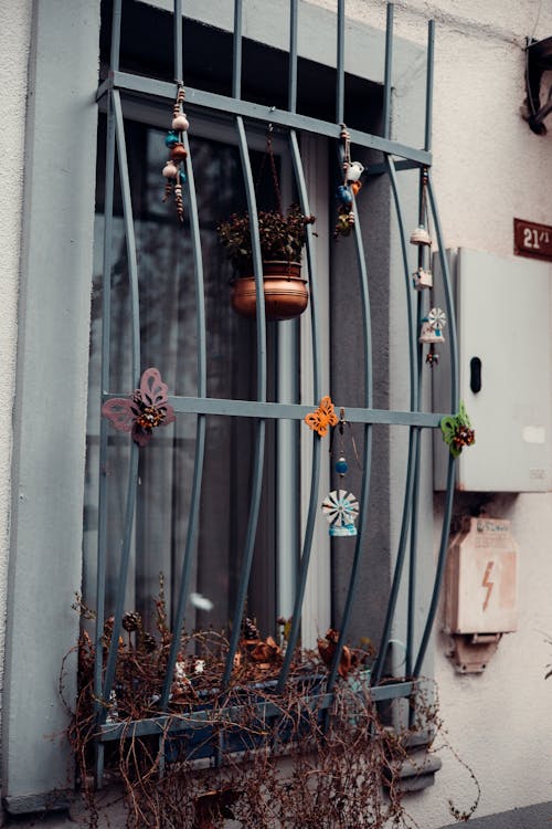 A Barred Window