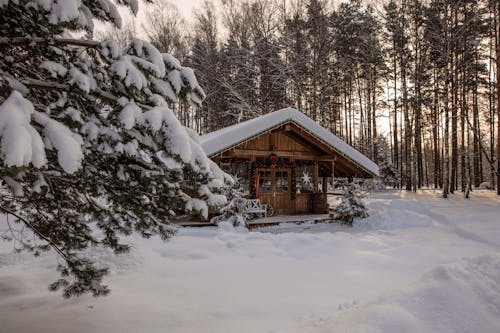 Free Photograph of a Cabin Surrounded by White Snow Stock Photo