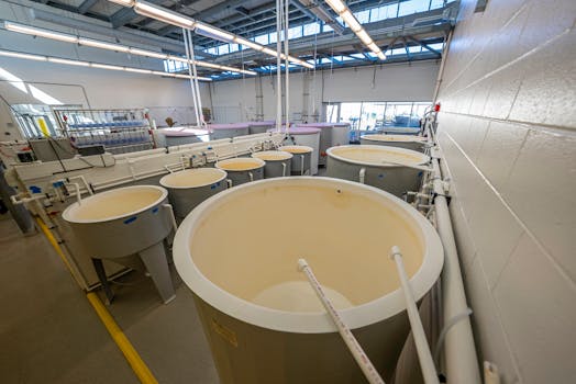 Interior of a modern industrial factory with large plastic tanks for processing.