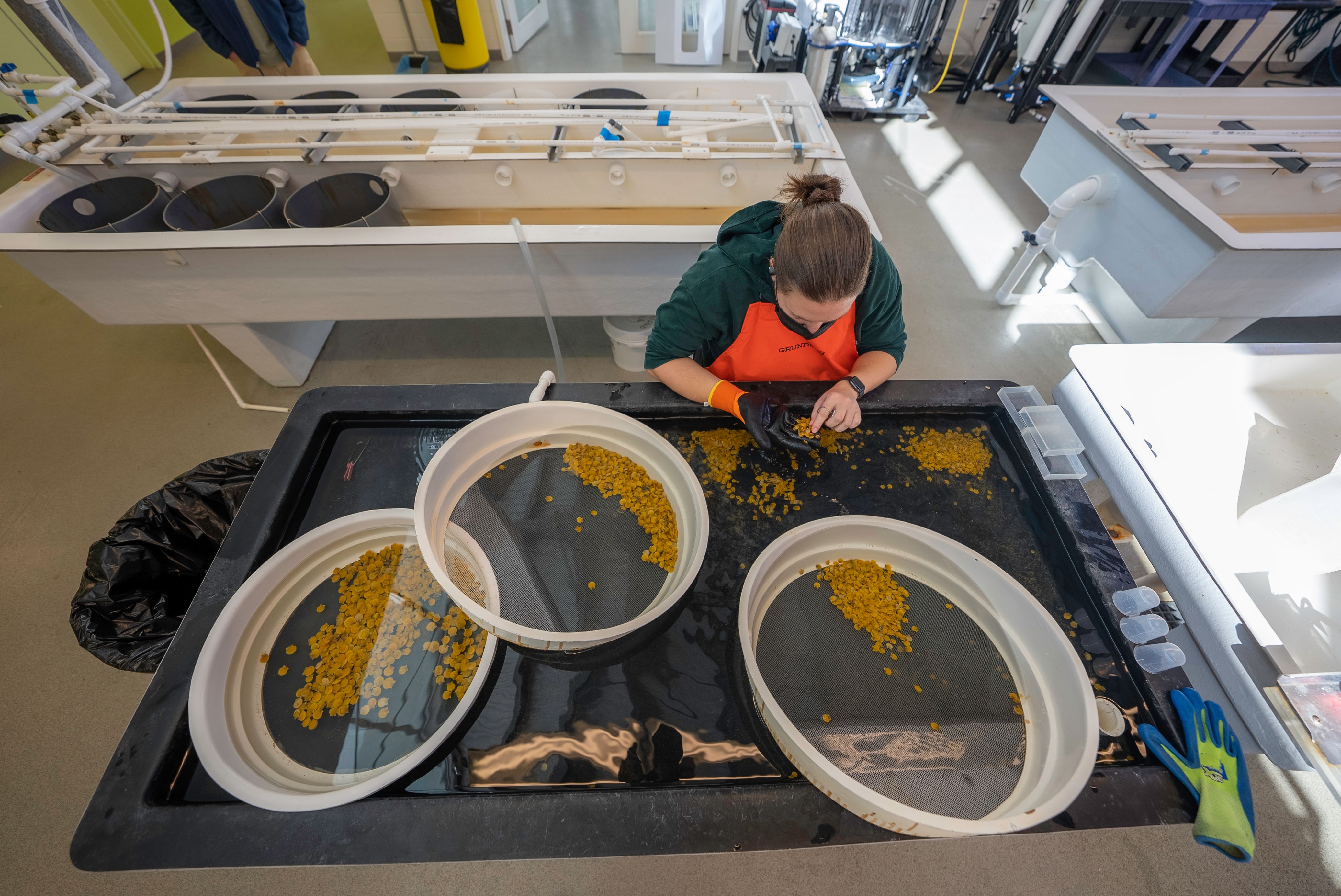 Hatchery Photos Download The Best Free Hatchery Stock Photos Hd Images