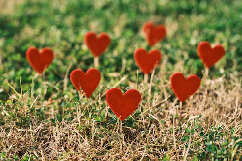 Red Hearts on Green Grass