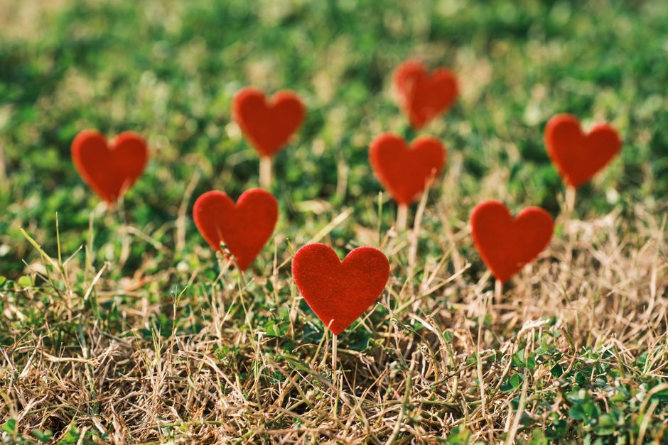Love Your Lawn: Valentine's Day Marketing Blueprint
