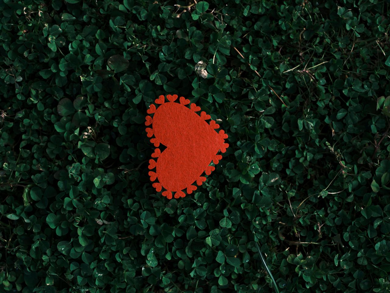 a vibrant red heart placed on green clover leaves symbolizing love and
