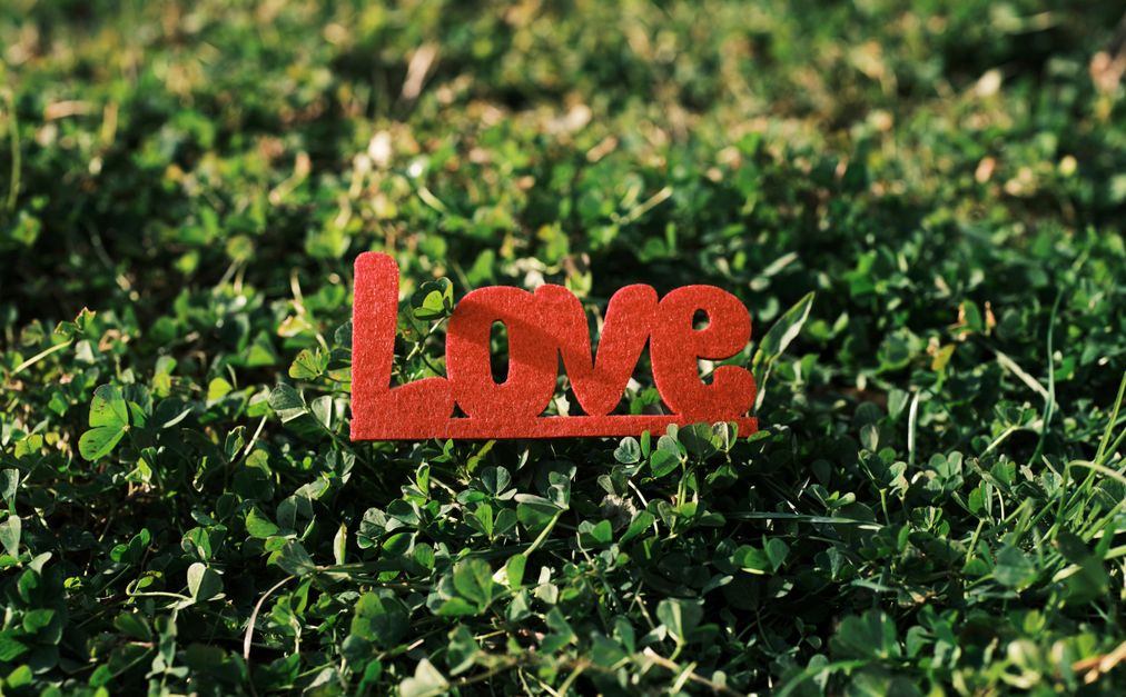 Online dating: starting a conversation on a niche platform