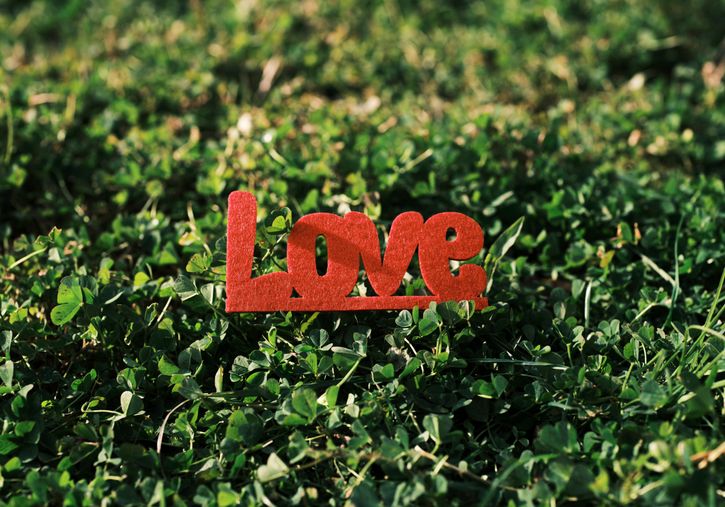 Online dating: starting a conversation on a niche platform