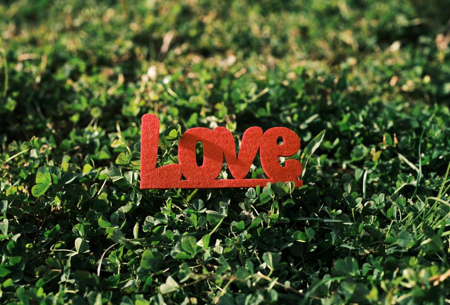 Online dating: starting a conversation on a niche platform