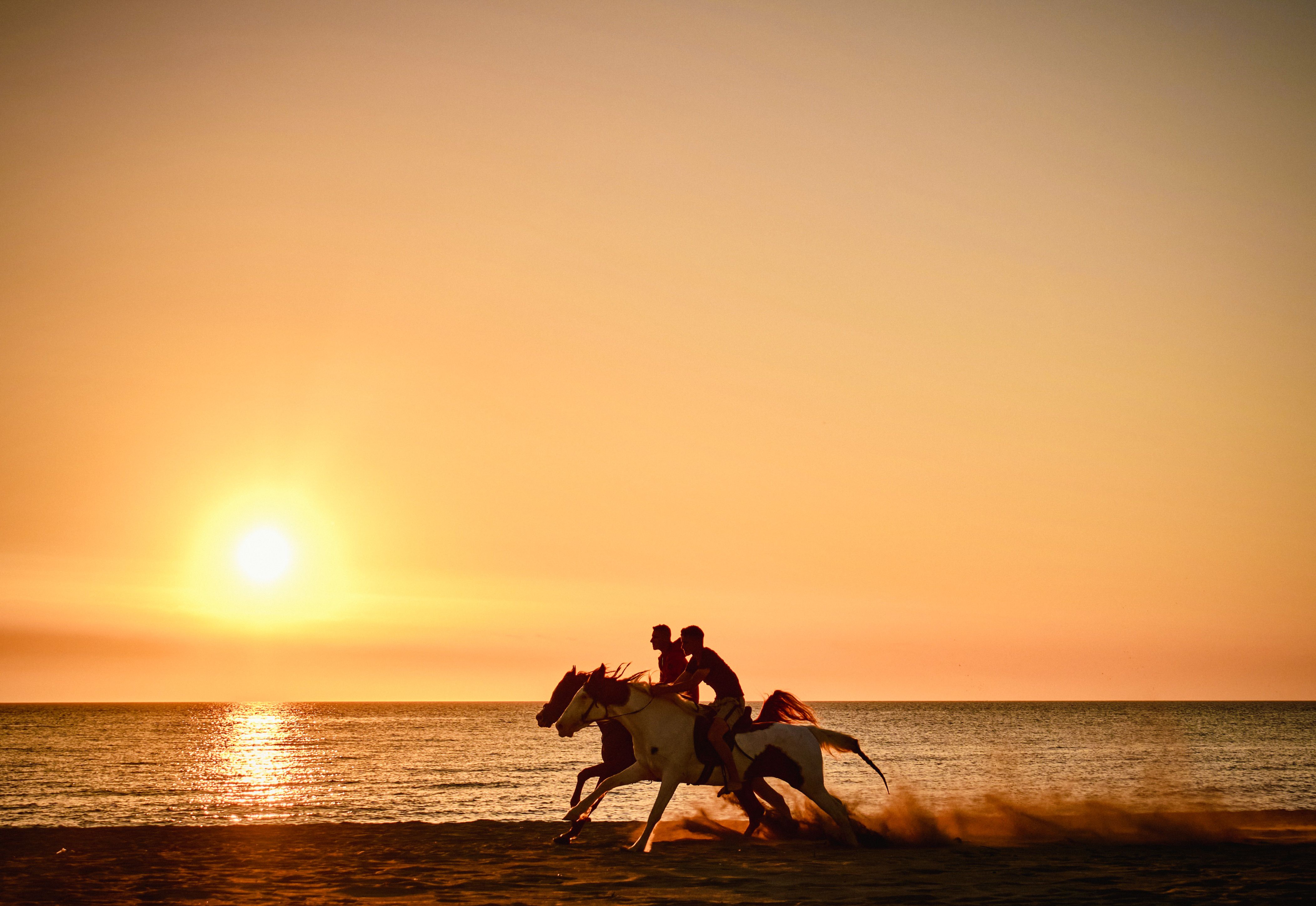 Two People Riding a Horse at the Beach during Golden Hour · Free Stock ...