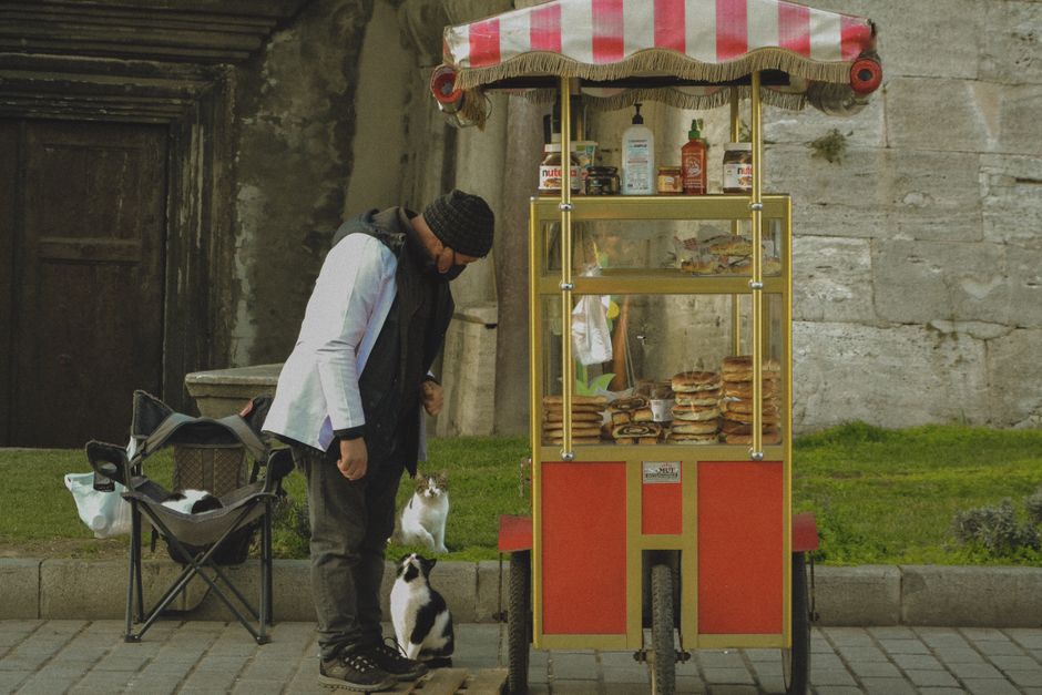 Street vendor with cats beside a food cart selling snacks in an urban setting.