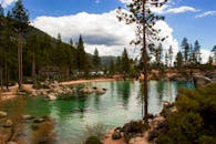 原始的山湖、松树与晴朗的天空，是自然爱好者的完美去处