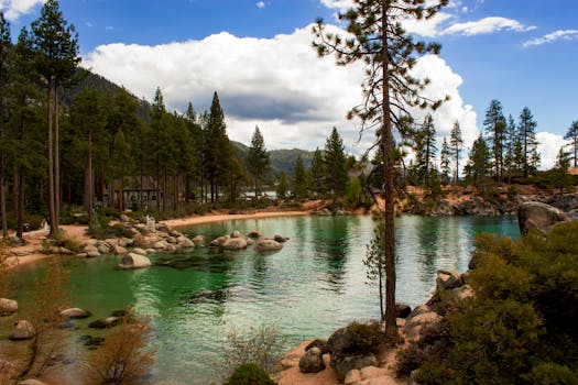 原始的山湖、松树与晴朗的天空，是自然爱好者的完美去处
