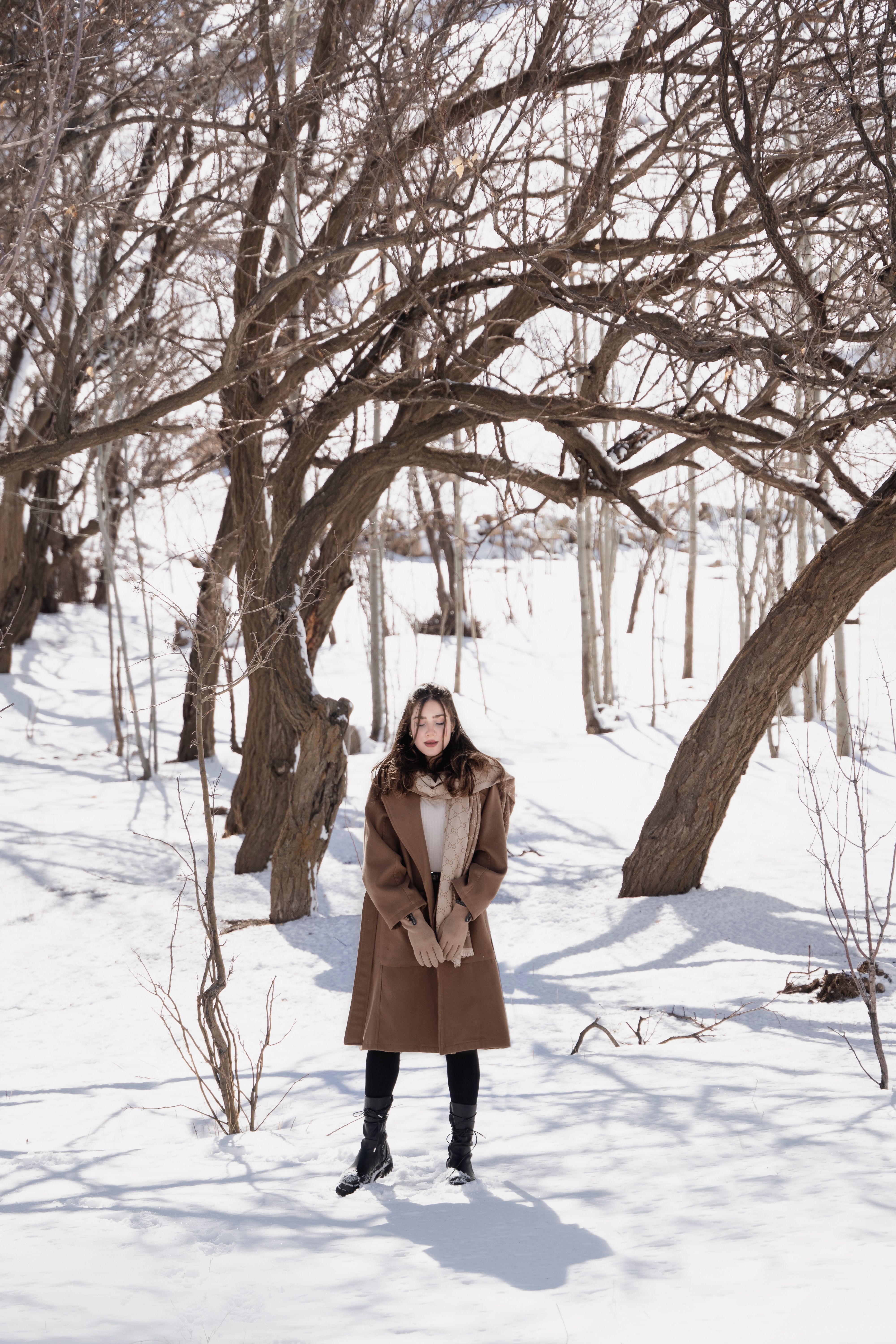 Woman in a Brown Coat Standing Under Bare Trees · Free Stock Photo