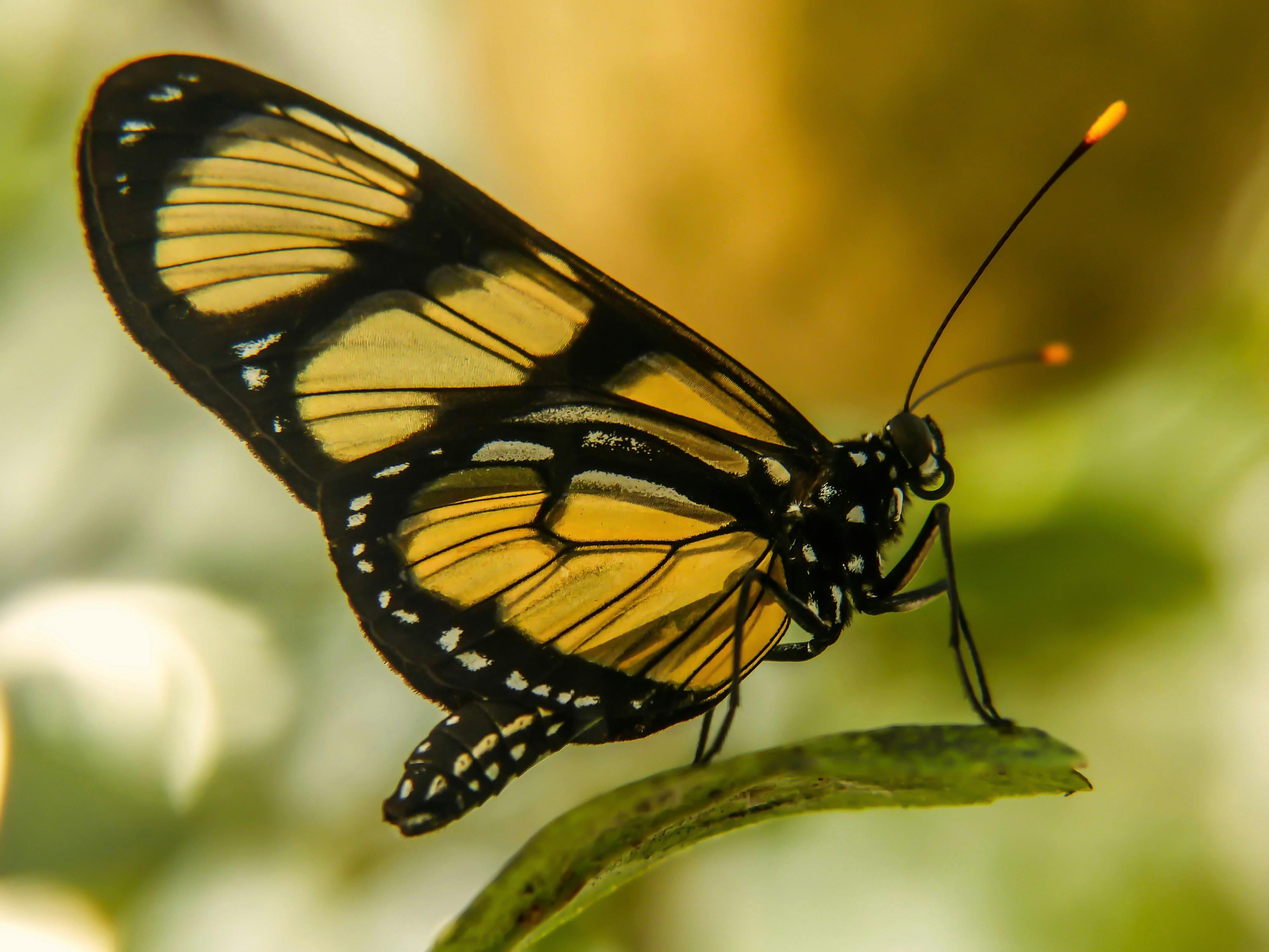 캠핑장 풍경 이미지2