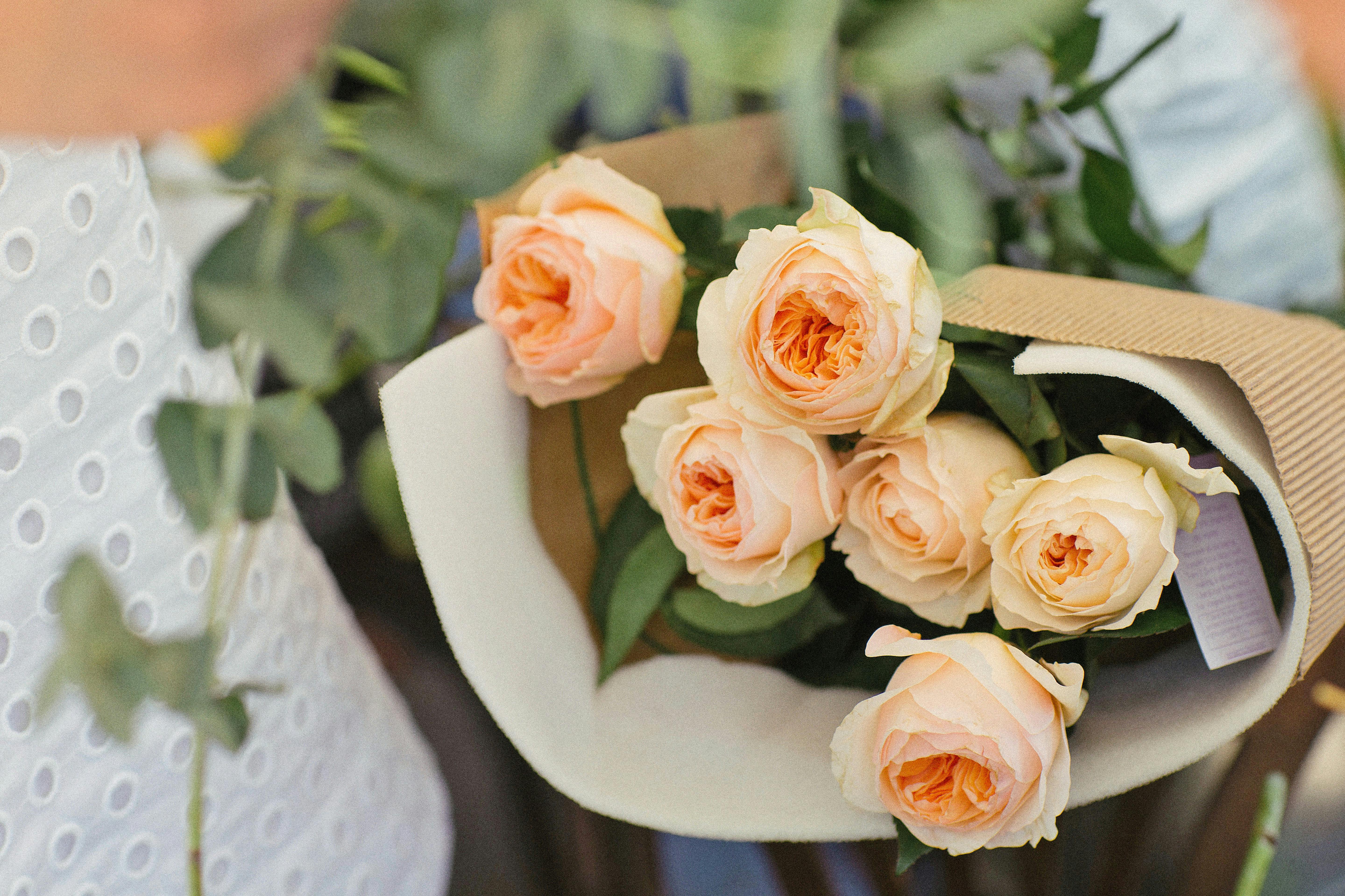 Rose bouquets wrapped in tissue paper - Stock Image - C053/7583 - Science  Photo Library