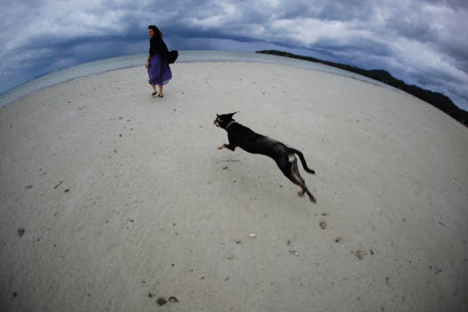 A woman walks with her dog on a deserted beach under a cloudy sky. Vibrant scene with motion.