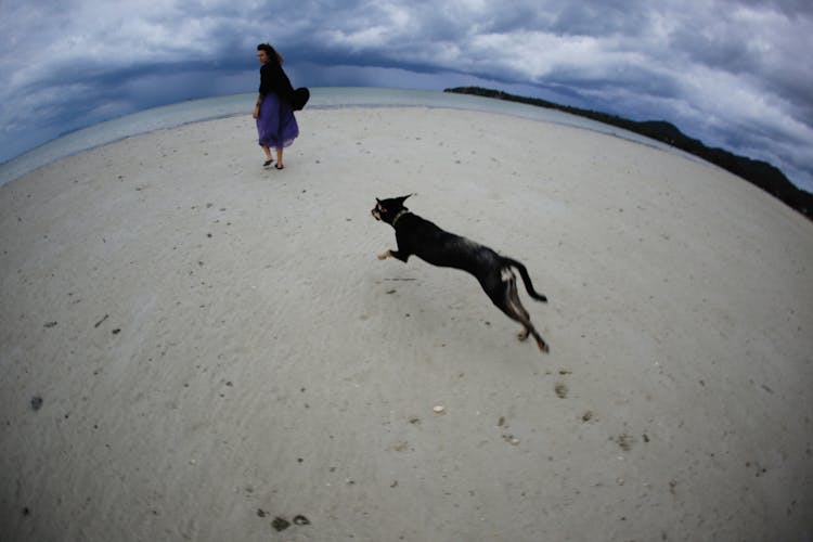 A Black Dog Following The Woman Walking 