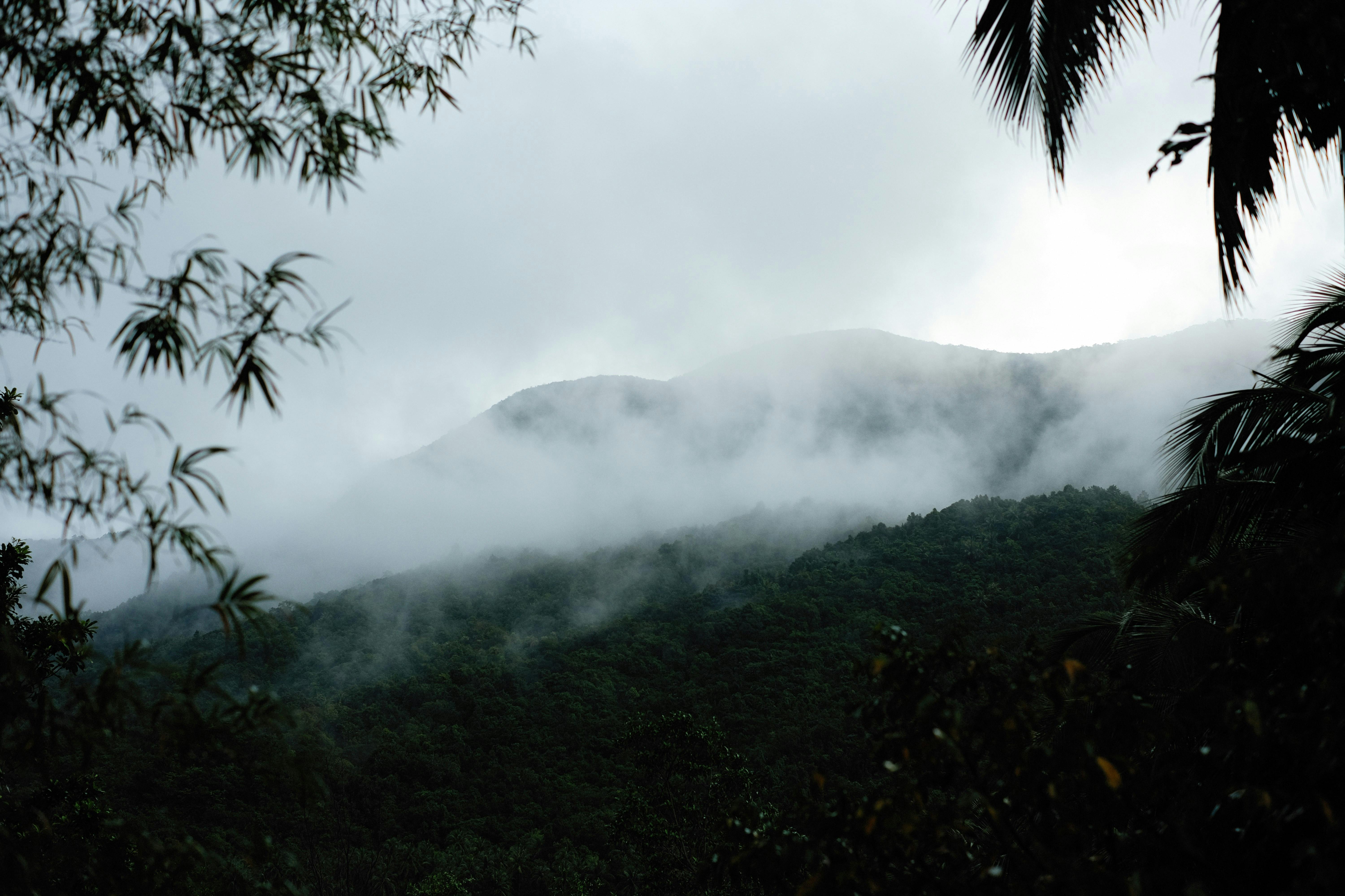 Prosperity bracelets