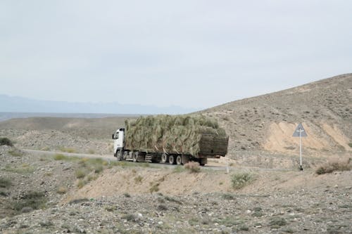 乾草, 包, 卡車 的 免费素材图片