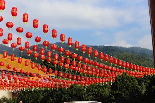 Foto d'estoc gratuïta de celebració, fanalets xinesos, Festival