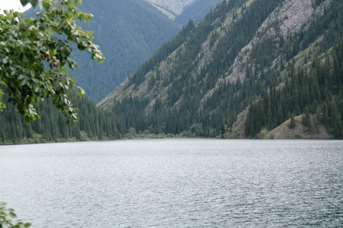 Бесплатное стоковое фото с водоем, горы, деревья