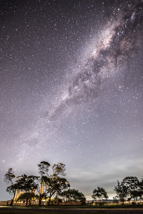 Foto d'estoc gratuïta de arbres, astronomia, cel