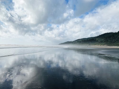 Free Photo of a Seashore Under a Cloudy Sky Stock Photo