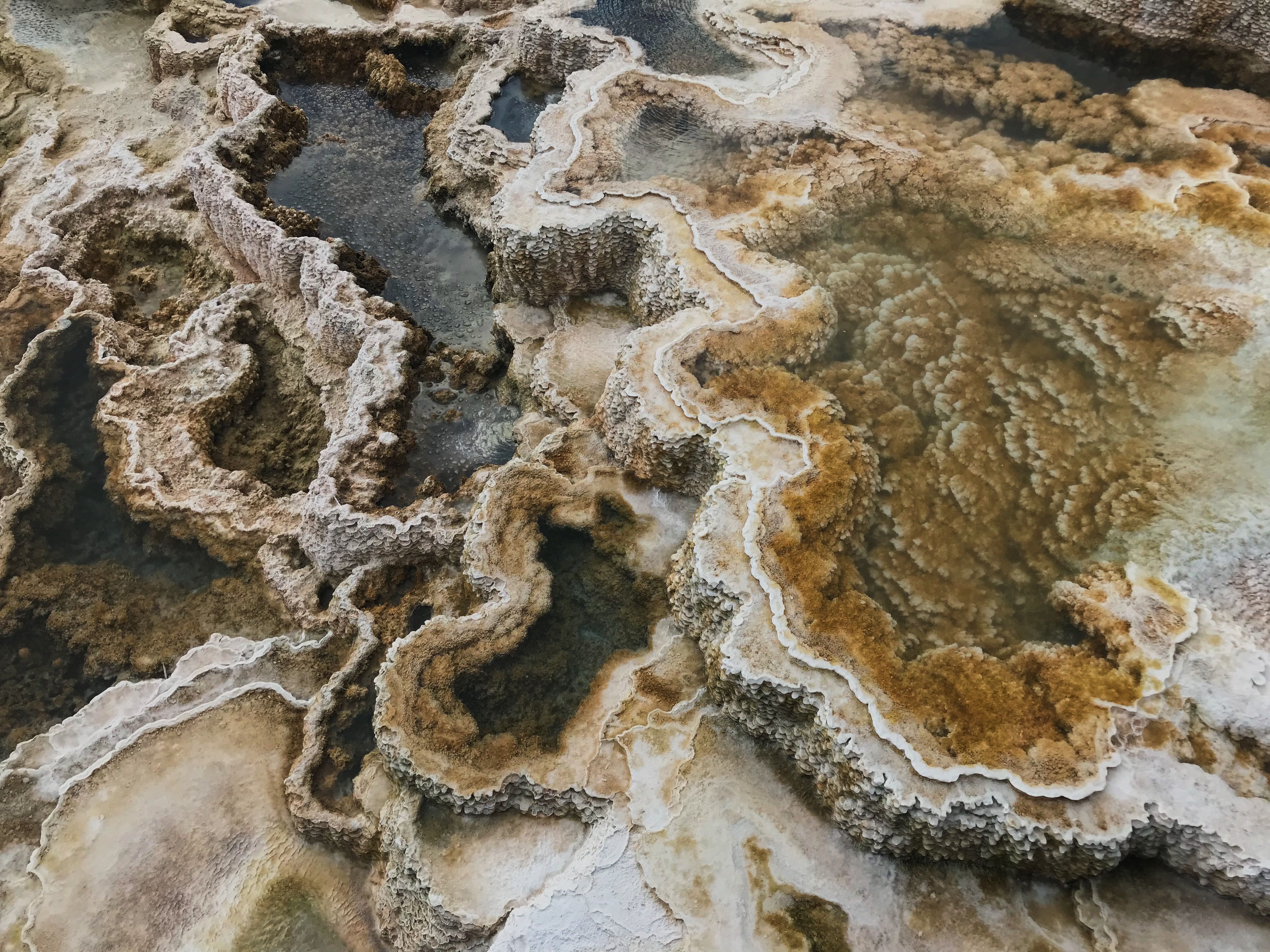 Water and Eroded Rocks · Free Stock Photo