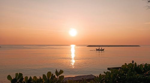 초기 일출, 해변, 황금빛 태양의 무료 스톡 사진