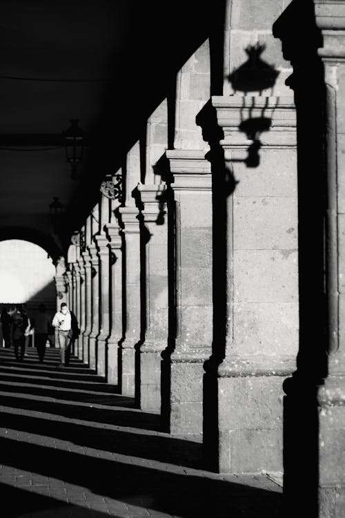 Foto profissional grátis de andando, colunas, escala de cinza
