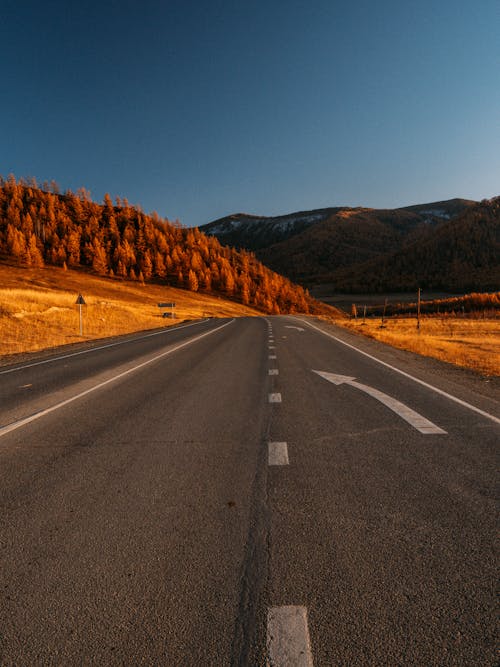 Fotos de stock gratuitas de carretera asfaltada, cielo azul, montaña