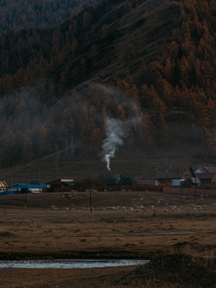 Smoke Coming Out Of A Chimney Of A House